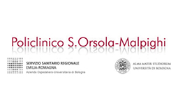 bologna_sito_copia